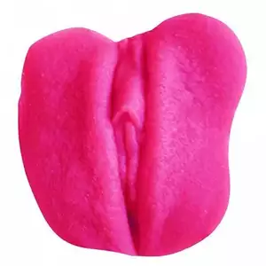 Silikonová replika mojí Pussy