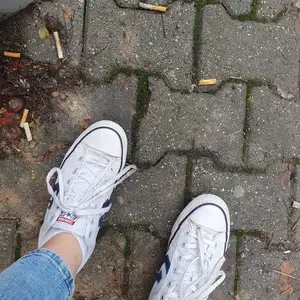 Mind