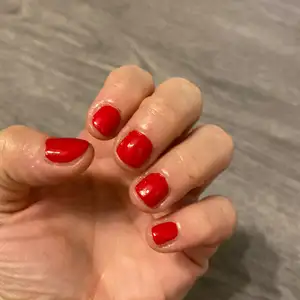 Profilová fotka andrejka_266