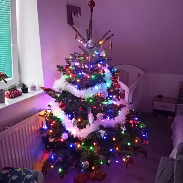 Vánoční dárek