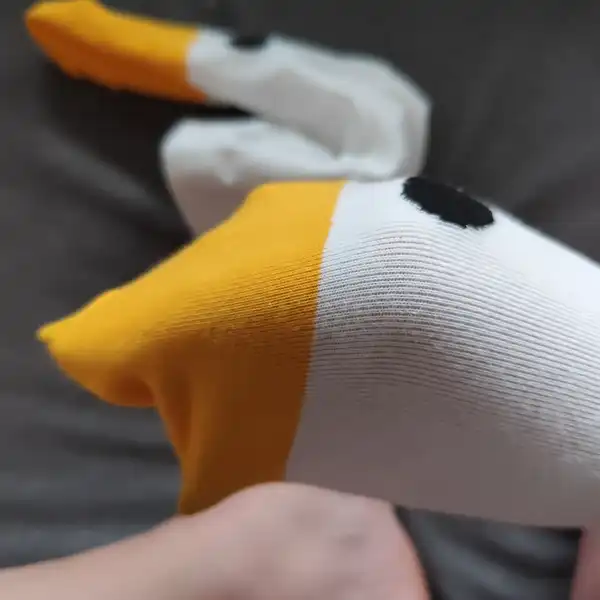 Pojď si hrát s husou