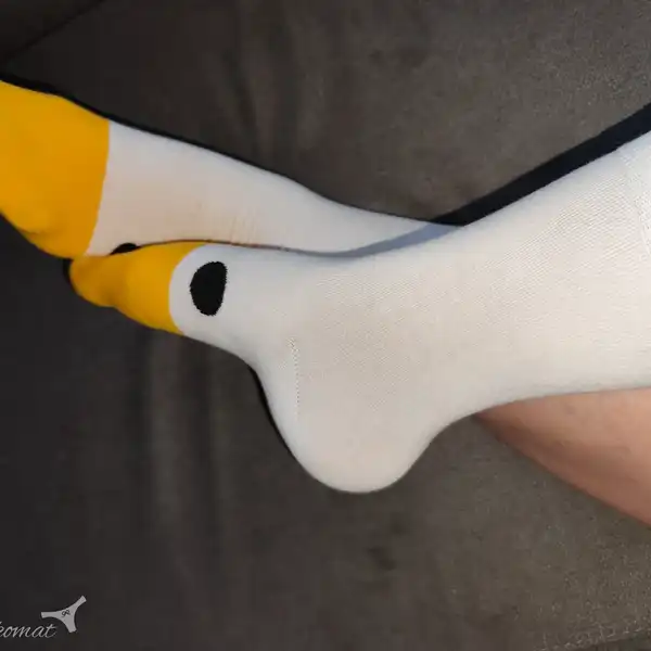 Pojď si hrát s husou