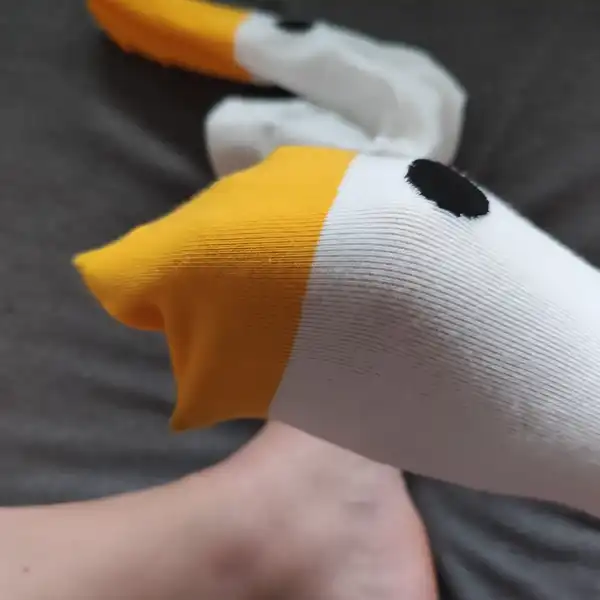 Pojď si hrát s husou