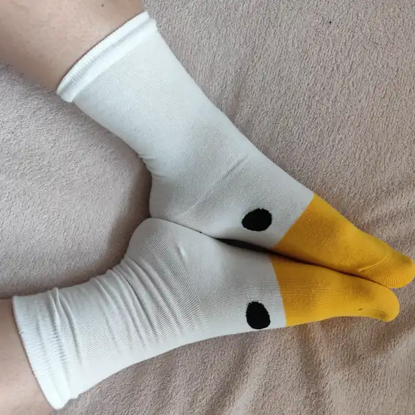 Pojď si hrát s husou