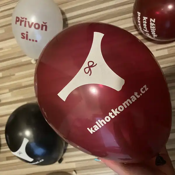 Ponížení na toaletě