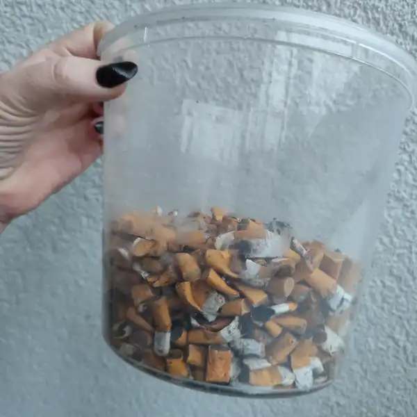 Vajgly (500 ks)