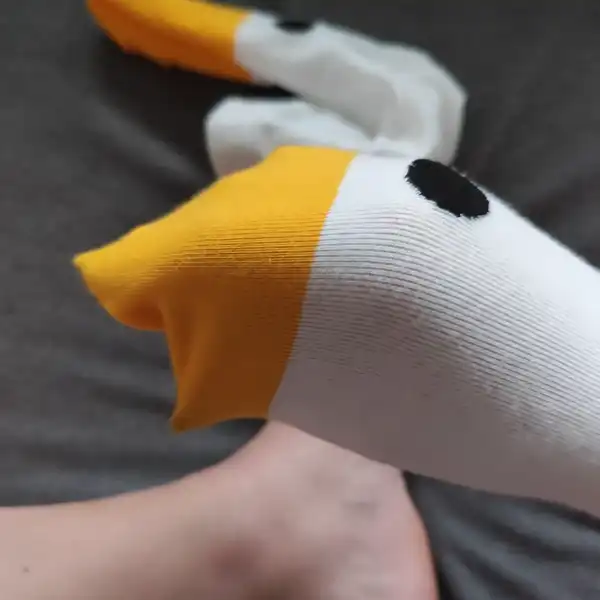 Pojď si hrát s husou