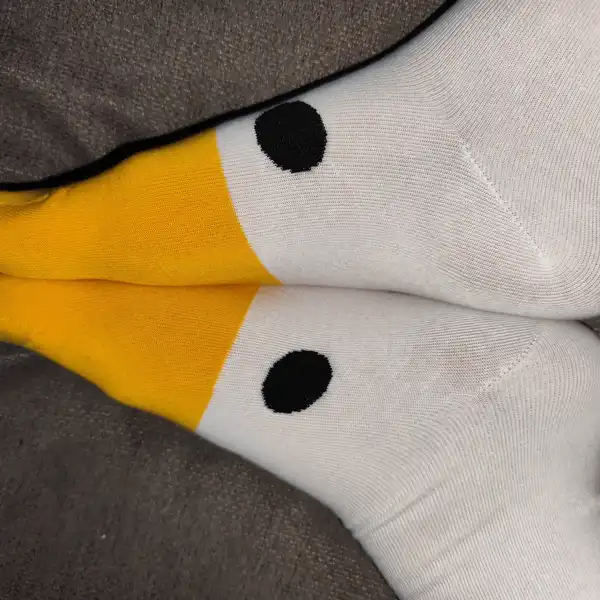 Pojď si hrát s husou