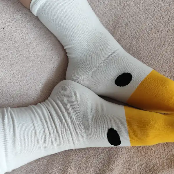 Pojď si hrát s husou
