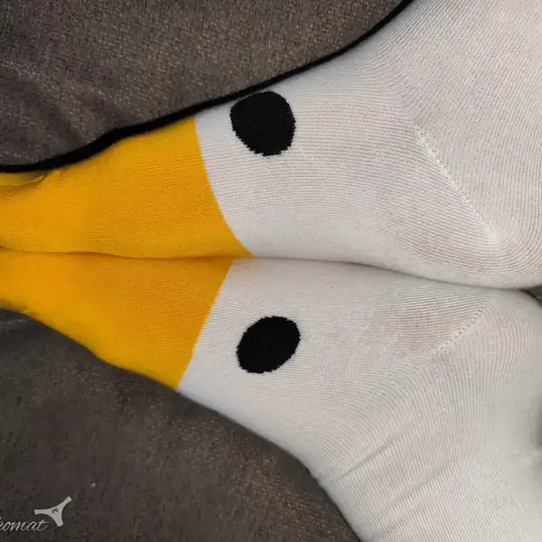 Pojď si hrát s husou