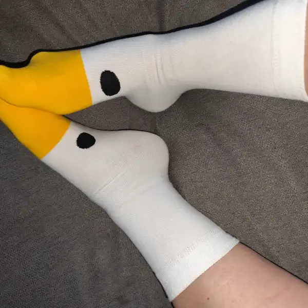 Pojď si hrát s husou
