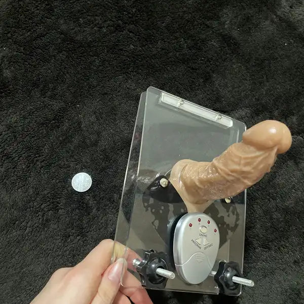 Lis na koule s elektro šoky