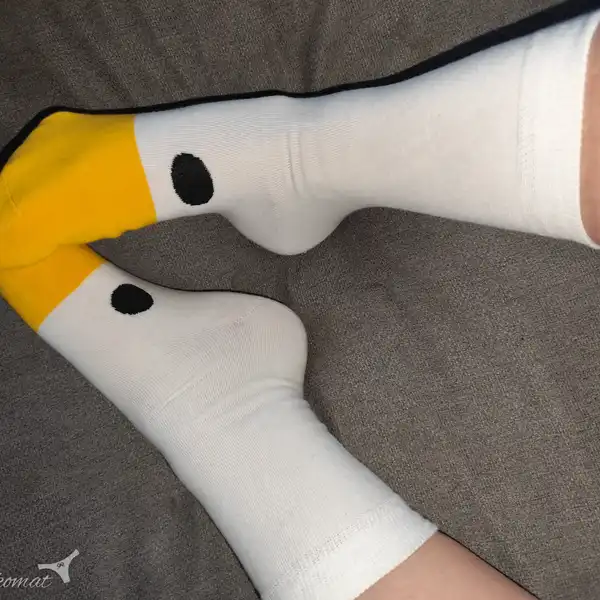 Pojď si hrát s husou