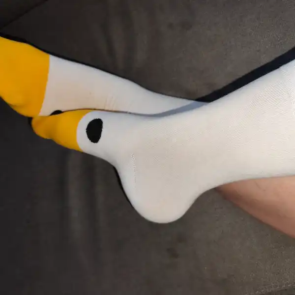 Pojď si hrát s husou