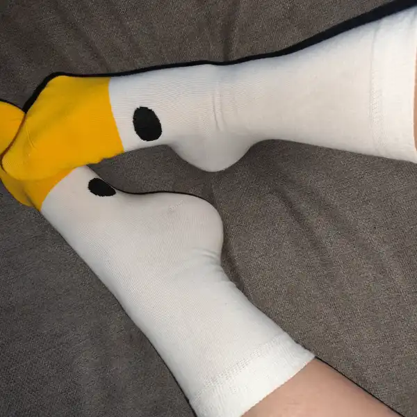 Pojď si hrát s husou