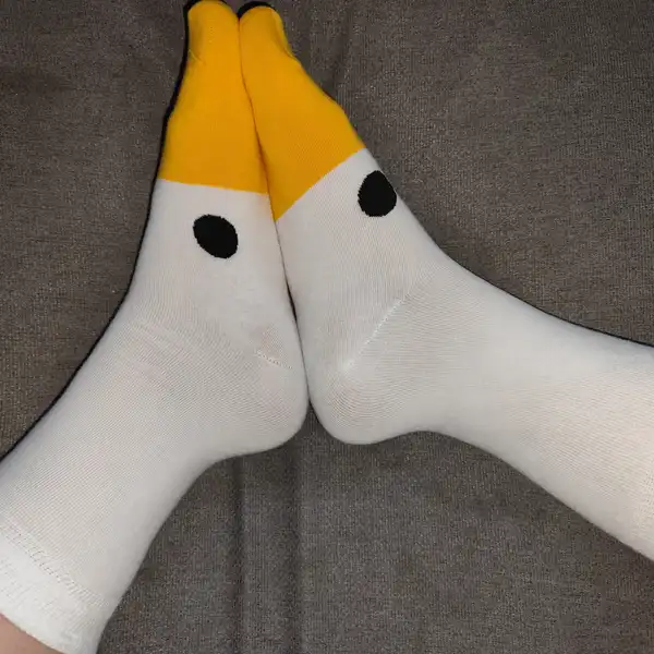 Pojď si hrát s husou