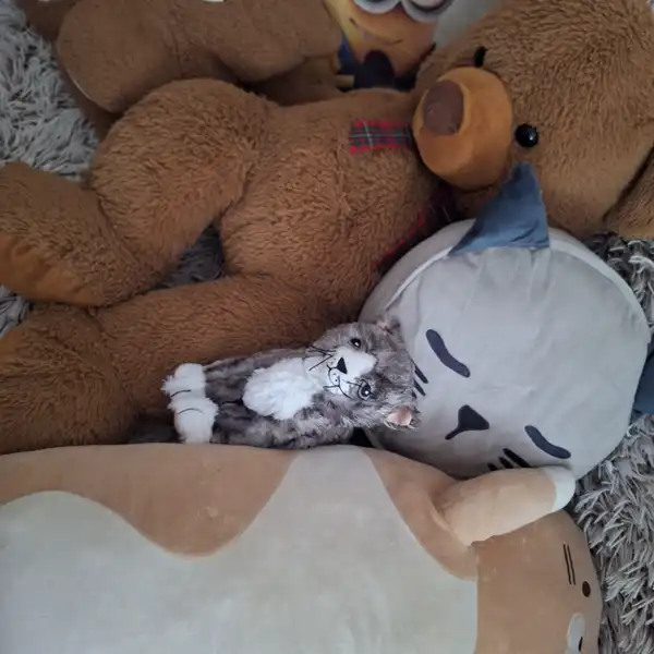 ABDL chat