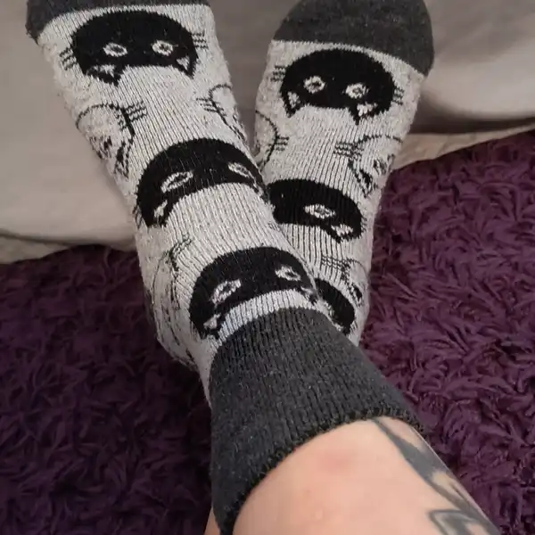 Kočičkové ponožky