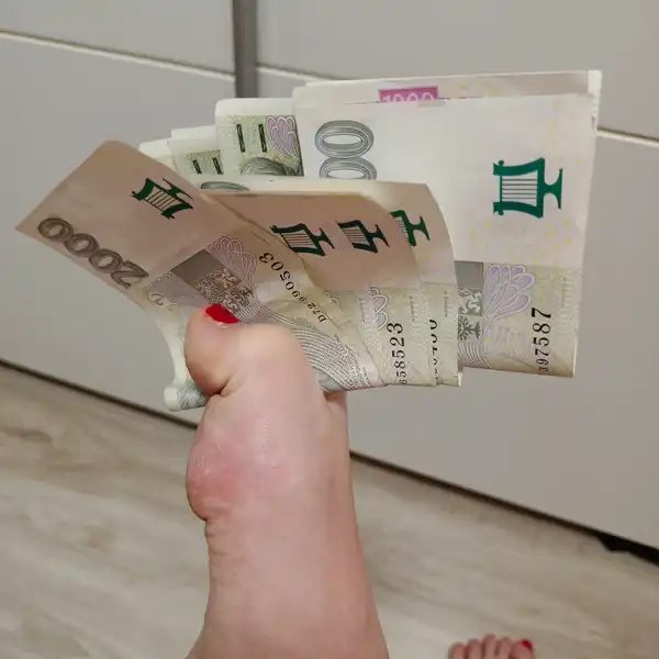 Stěhování